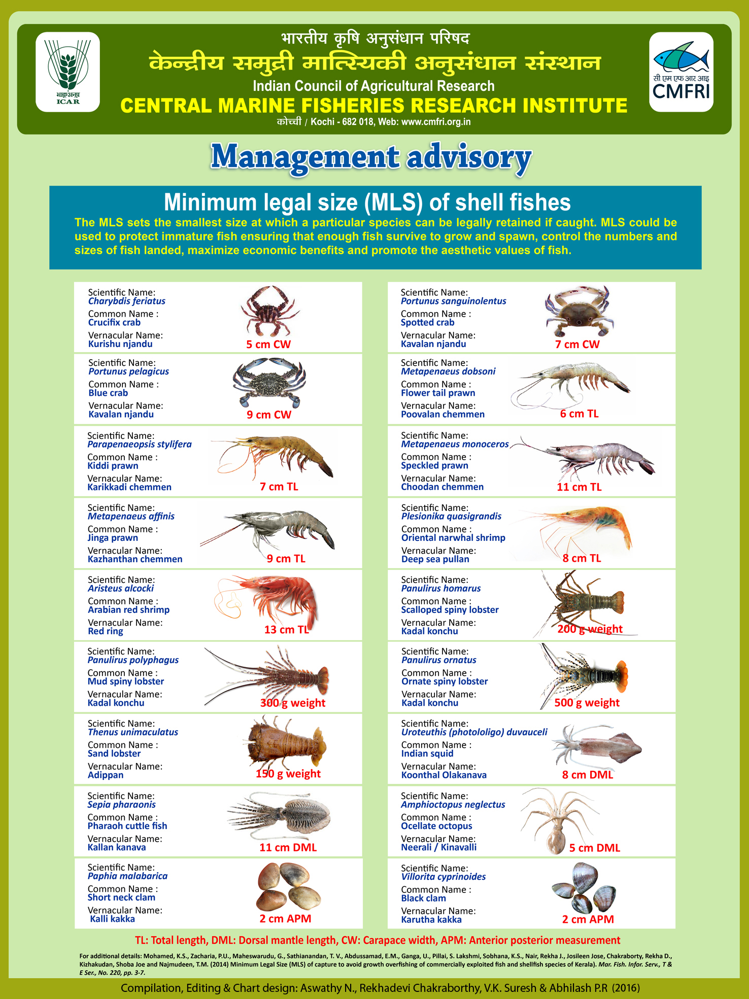 Management Advisory Minimum Legal Size of shell fishes CMFRI Repository